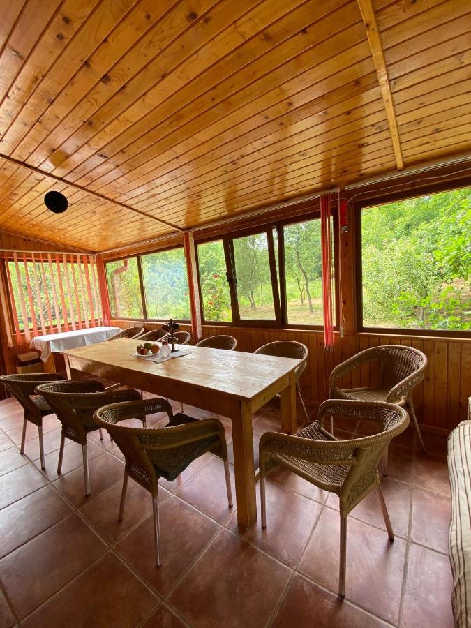 Ab'S Rustic Cabin Dejani Ngoại thất bức ảnh