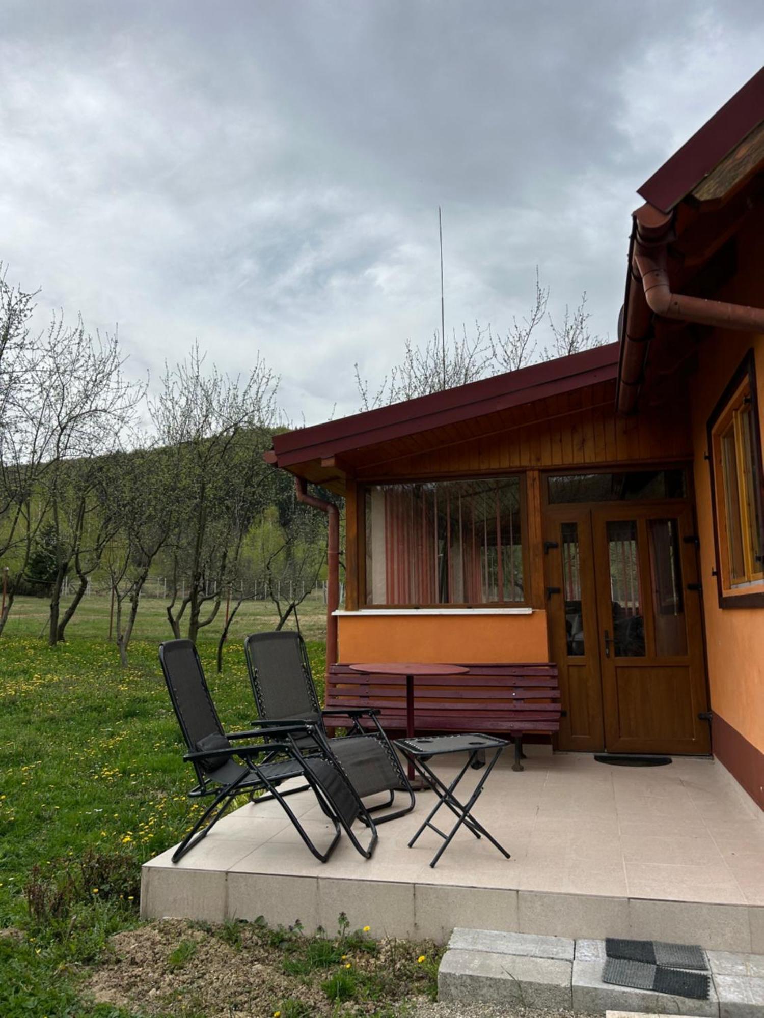 Ab'S Rustic Cabin Dejani Ngoại thất bức ảnh
